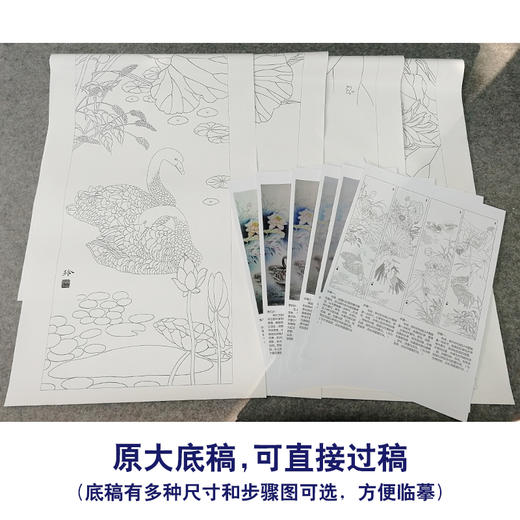 【有步骤、大彩图】郑玲玲工笔画白描底稿四条屏荷花图《春夏秋冬》ZL98 商品图1