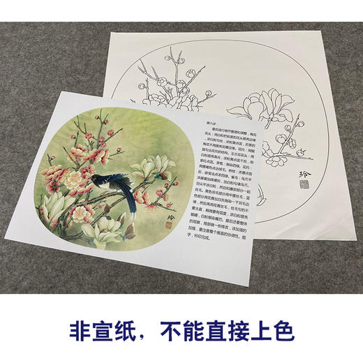 【有步骤、大彩图】郑玲玲工笔画白描底稿《喜顺图》梅花小品初学者临摹花鸟线稿ZL73 商品图2