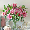 精品花材西亚拉重瓣百合花5支多头 商品缩略图3