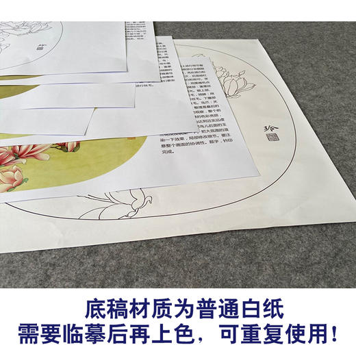 【有步骤、大彩图】郑玲玲工笔画白描底稿小品《黄眉玉兰图》初学者临摹花鸟线稿ZL64 商品图3