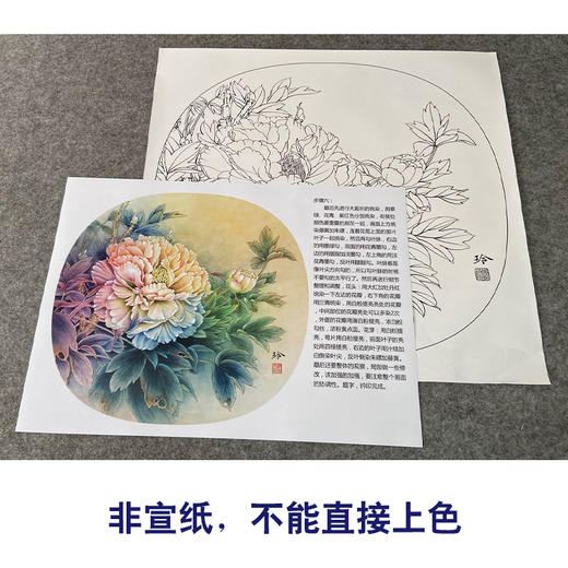 【有步骤、大彩图】郑玲玲工笔画白描底稿小品《清夏》牡丹初学者临摹花鸟线稿ZL78 商品图2
