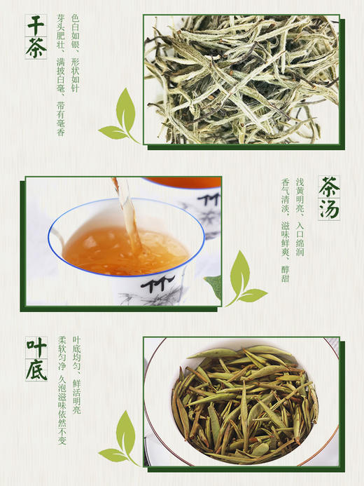 言午林山 白毫银针2020春茶茶叶 100g 商品图2