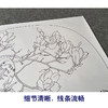 【有步骤、大彩图】郑玲玲工笔画白描底稿小品《黄眉玉兰图》初学者临摹花鸟线稿ZL64 商品缩略图4