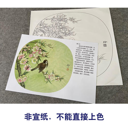 【有步骤、大彩图】郑玲玲工笔画白描底稿小品《一缕清香一份醉》桃花麻雀初学者临摹花鸟线稿ZL68 商品图2