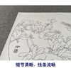 【有步骤、大彩图】郑玲玲工笔画白描底稿小品《逐争春色》玉兰花初学者临摹花鸟线稿ZL66 商品缩略图4