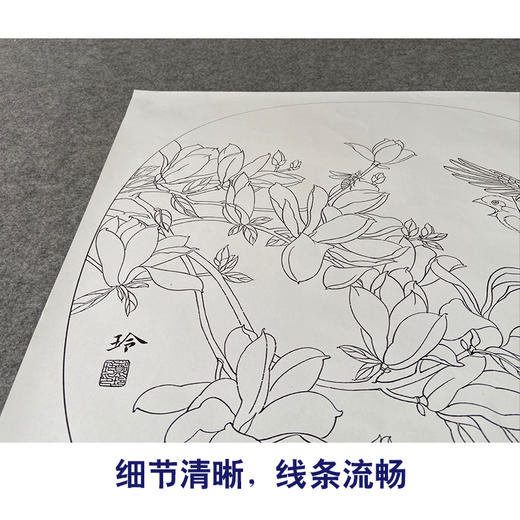 【有步骤、大彩图】郑玲玲工笔画白描底稿小品《逐争春色》玉兰花初学者临摹花鸟线稿ZL66 商品图4