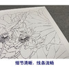 【有步骤、大彩图】郑玲玲工笔画白描底稿斗方小品《晨露碧荷语无声》荷花初学者临摹花鸟线稿ZL88 商品缩略图4