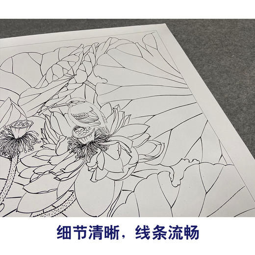 【有步骤、大彩图】郑玲玲工笔画白描底稿斗方小品《晨露碧荷语无声》荷花初学者临摹花鸟线稿ZL88 商品图4