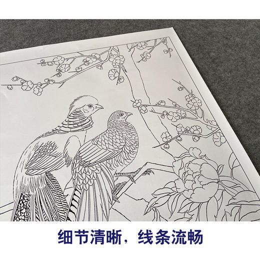 【有步骤、大彩图】郑玲玲工笔画白描底稿《岁月静好》锦鸡图初学者临摹花鸟线稿ZL57 商品图4