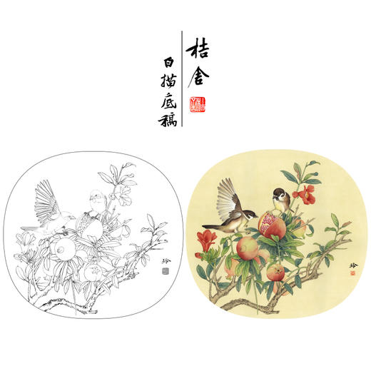 【有步骤、大彩图】郑玲玲工笔画白描底稿小品《硕果满枝头》石榴初学者临摹花鸟线稿ZL84 商品图0
