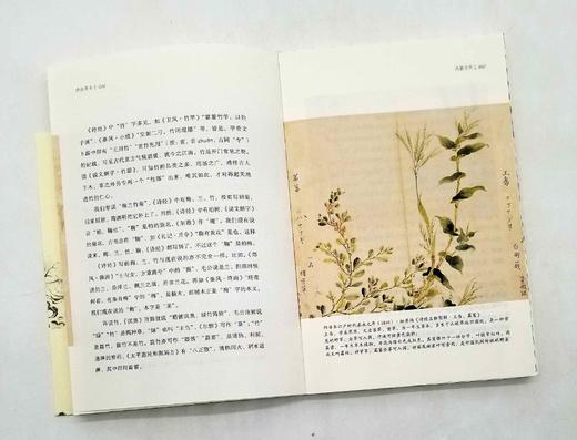 《诗经草木》 商品图7