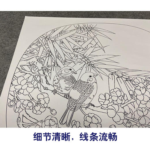 【有步骤、大彩图】郑玲玲工笔画白描底稿小品《梅花家雀》初学者临摹花鸟线稿ZL74 商品图4