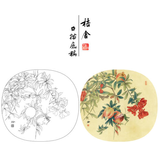 【有步骤、大彩图】郑玲玲工笔画白描底稿小品《硕实》石榴初学者临摹花鸟线稿ZL85 商品图0