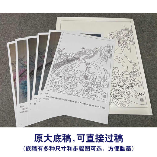 【有步骤、大彩图】郑玲玲工笔画白描底稿《福贵祥和图》牡丹锦鸡初学者临摹花鸟线稿ZL52 商品图1