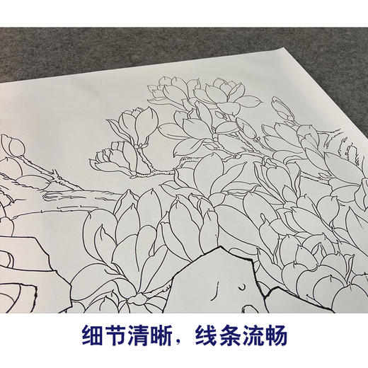 【有步骤、大彩图】郑玲玲横幅工笔画白描底稿《喜上眉梢》玉兰花初学者临摹花鸟线稿ZL92 商品图4