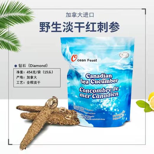 ocean feast加拿大阿拉斯加红刺参454g/袋（一般贸易） 商品图7