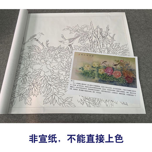 【有步骤、大彩图】郑玲玲横幅工笔画白描底稿《富贵白头图》牡丹初学者临摹花鸟线稿ZL95 商品图2