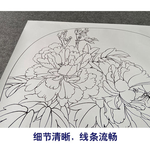 【有步骤、大彩图】郑玲玲工笔画白描底稿小品《富贵蝶来》牡丹初学者临摹花鸟线稿ZL76 商品图4