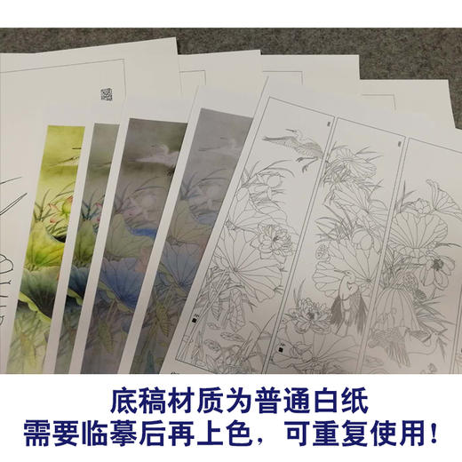【有步骤、大彩图】郑玲玲工笔画白描底稿四条屏荷花图《荷塘鹭影》ZL99 商品图3