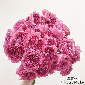 肯尼亚进口Princess Meiko美可公主多头玫瑰10支