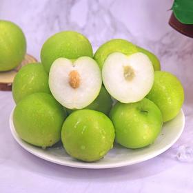 H福建脆甜牛奶大青枣