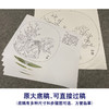 【有步骤、大彩图】郑玲玲工笔画白描底稿《喜顺图》梅花小品初学者临摹花鸟线稿ZL73 商品缩略图1