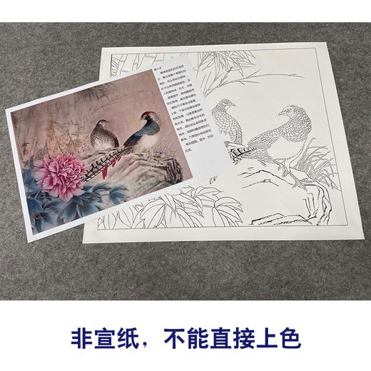 【有步骤、大彩图】郑玲玲工笔画白描底稿小品《林间依恋》竹林锦鸡初学者临摹花鸟线稿ZL61 商品图2