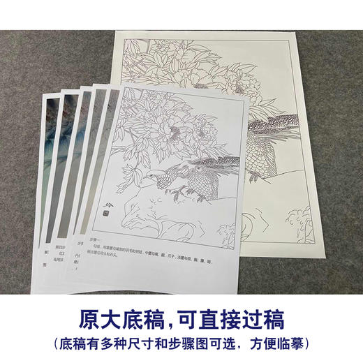 【有步骤、大彩图】郑玲玲工笔画白描稿《锦羽春晖》牡丹锦鸡初学者临摹花鸟线稿ZL54 商品图1