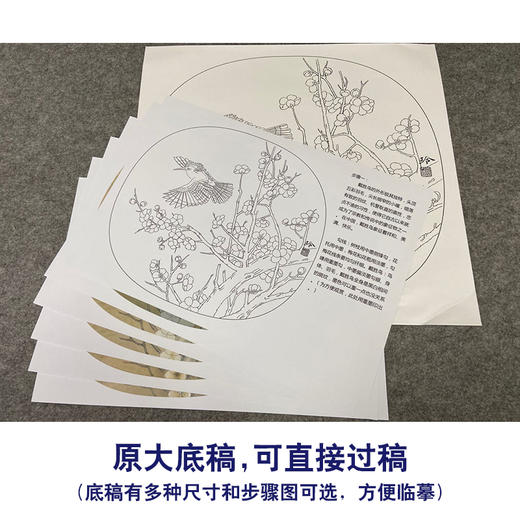 【有步骤、大彩图】郑玲玲工笔画白描底稿小品《戴胜迎春图》梅花戴胜鸟初学者临摹花鸟线稿ZL72 商品图1