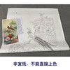 【有步骤、大彩图】郑玲玲工笔画白描底稿《 锦羽祥瑞》锦鸡牡丹初学者临摹花鸟线稿ZL97 商品缩略图2