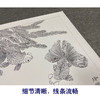 【有步骤、大彩图】郑玲玲工笔画白描底稿《金玉满堂》金鱼荷花初学者临摹花鸟线稿ZL47 商品缩略图4