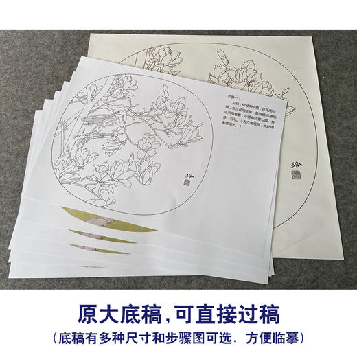 【有步骤、大彩图】郑玲玲工笔画白描底稿小品《黄眉玉兰图》初学者临摹花鸟线稿ZL64 商品图1