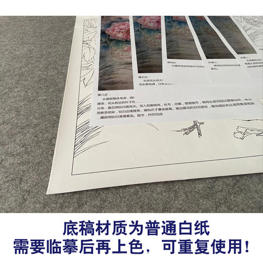 【有步骤、大彩图】郑玲玲工笔画白描底稿《花开锦绣》牡丹锦鸡初学者临摹花鸟线稿ZL56 商品图3