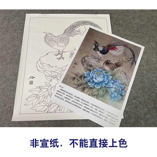 【有步骤、大彩图】郑玲玲工笔画白描底稿《暮暮朝朝》牡丹锦鸡初学者临摹花鸟线稿ZL53 商品图2