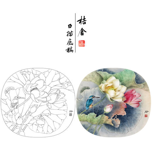 【有步骤、大彩图】郑玲玲工笔画白描稿小品《荷香幽韵》荷花初学者临摹花鸟线稿ZL81 商品图0