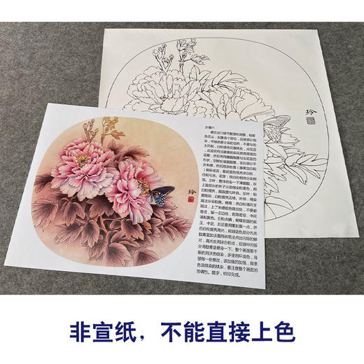 【有步骤、大彩图】郑玲玲工笔画白描底稿小品《富贵蝶来》牡丹初学者临摹花鸟线稿ZL76 商品图2