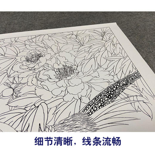 【有步骤、大彩图】郑玲玲工笔画白描底稿小品《锦上添花》牡丹锦鸡初学者临摹花鸟线稿ZL63 商品图4