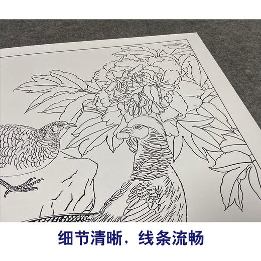 【有步骤、大彩图】郑玲玲工笔画白描底稿小品《雨后听竹声》锦鸡初学者临摹花鸟线稿ZL62 商品图4