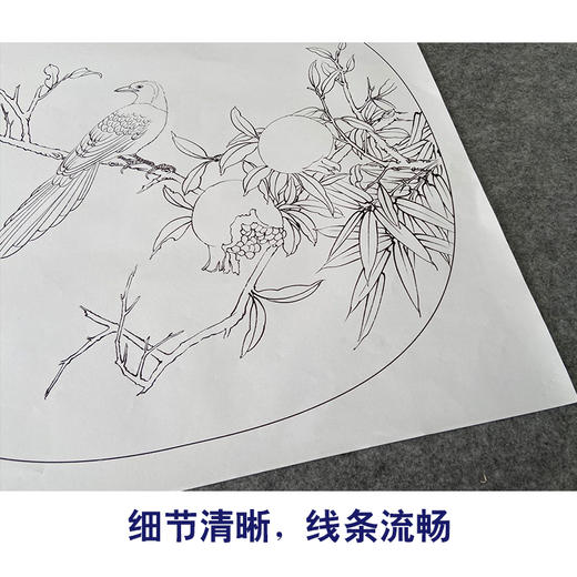 【有步骤、大彩图】郑玲玲工笔画白描稿圆形小品《临风独秀》石榴初学者临摹花鸟线稿ZL87 商品图4