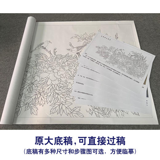 【有步骤、大彩图】郑玲玲横幅工笔画白描底稿《富贵白头图》牡丹初学者临摹花鸟线稿ZL95 商品图1