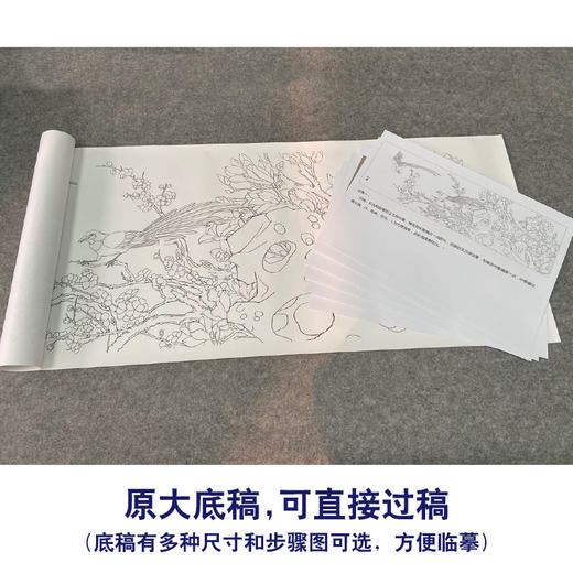 【有步骤、大彩图】郑玲玲横幅工笔画白描底稿《喜上眉梢》玉兰花初学者临摹花鸟线稿ZL92 商品图1