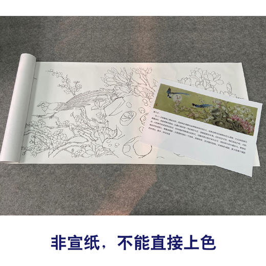 【有步骤、大彩图】郑玲玲横幅工笔画白描底稿《喜上眉梢》玉兰花初学者临摹花鸟线稿ZL92 商品图2