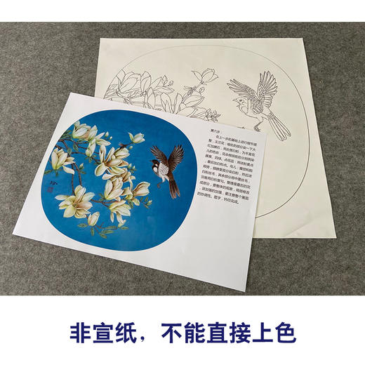【有步骤、大彩图】郑玲玲工笔画白描底稿小品《逐争春色》玉兰花初学者临摹花鸟线稿ZL66 商品图2