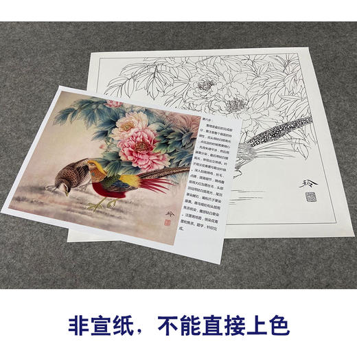 【有步骤、大彩图】郑玲玲工笔画白描底稿小品《锦上添花》牡丹锦鸡初学者临摹花鸟线稿ZL63 商品图2