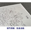 【有步骤、大彩图】郑玲玲工笔画白描稿小品《夜光白牡丹》牡丹初学者临摹花鸟线稿ZL79 商品缩略图4