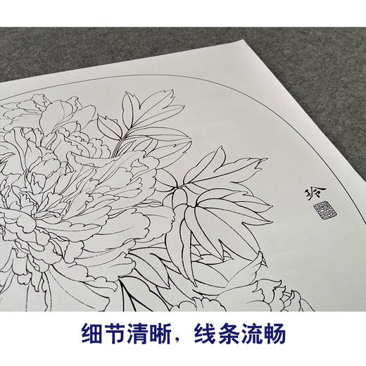 【有步骤、大彩图】郑玲玲工笔画白描稿小品《夜光白牡丹》牡丹初学者临摹花鸟线稿ZL79 商品图4
