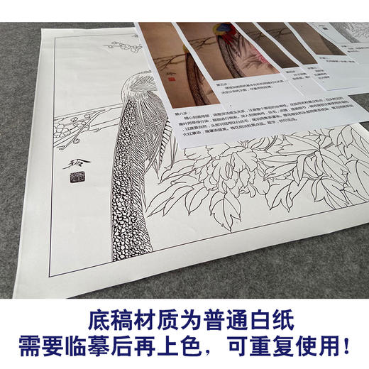 【有步骤、大彩图】郑玲玲工笔画白描底稿《岁月静好》锦鸡图初学者临摹花鸟线稿ZL57 商品图3