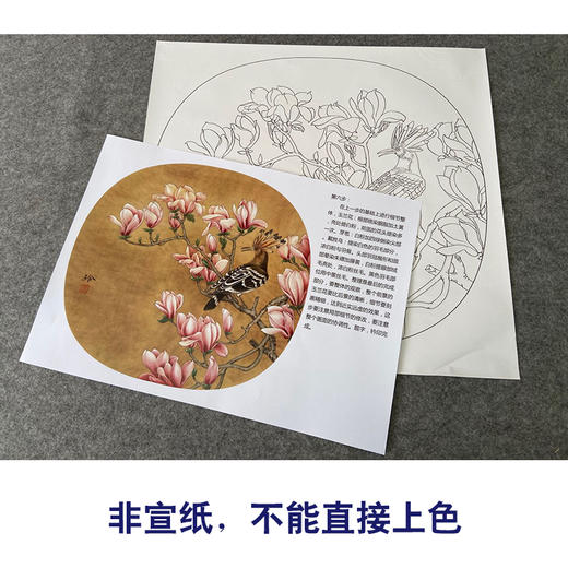 【有步骤、大彩图】郑玲玲工笔画白描底稿小品《玉堂富贵图》玉兰花初学者临摹花鸟线稿ZL65 商品图2