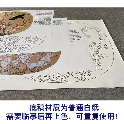 【有步骤、大彩图】郑玲玲工笔画白描底稿小品《一夜清香》梅花初学者临摹花鸟线稿ZL75 商品图3