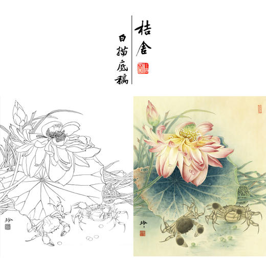 【有步骤、大彩图】郑玲玲工笔画白描底稿《和谐图》荷花螃蟹初学者临摹花鸟线稿ZL50 商品图0